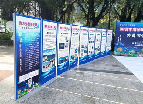  临海KT板的种类和知识。